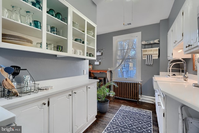 kitchen featuring dark hardwood / wood-style flooring, radiator, sink, and white cabinets