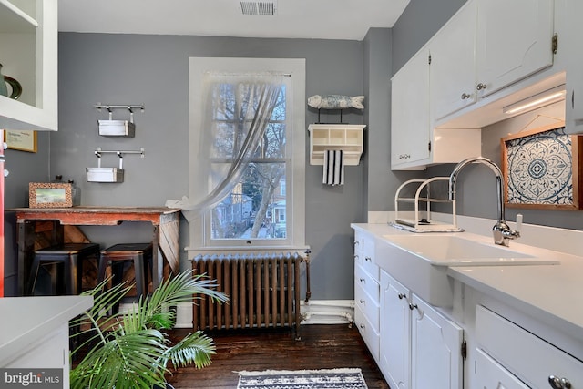 kitchen with white cabinetry, radiator, dark wood-type flooring, and sink