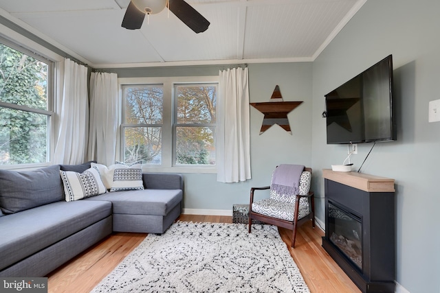 living room featuring crown molding, ceiling fan, and light hardwood / wood-style floors