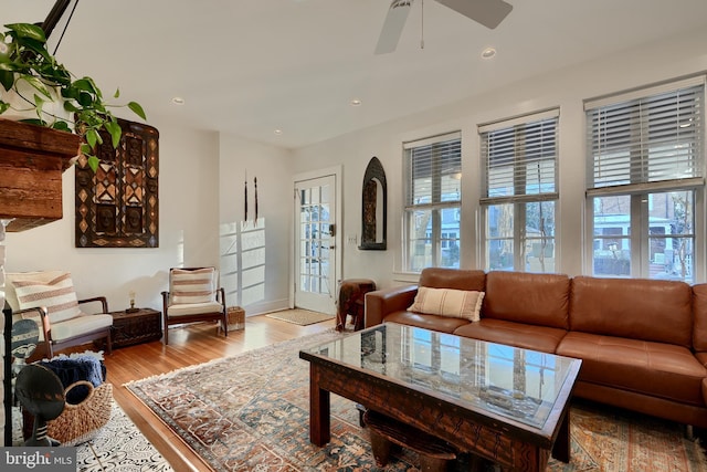 living room with ceiling fan and light hardwood / wood-style floors