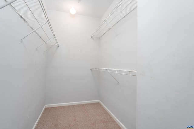 spacious closet with carpet