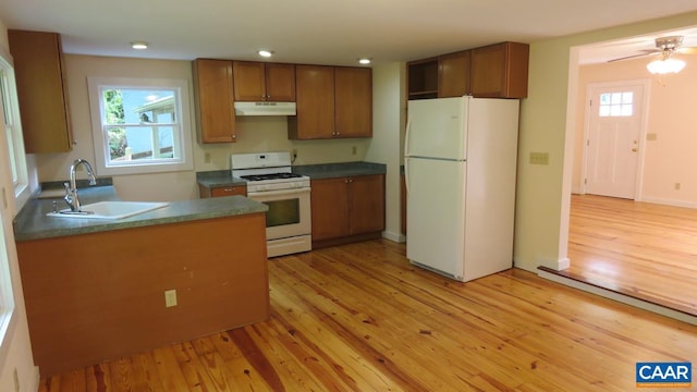 kitchen featuring white appliances, sink, and light hardwood / wood-style flooring