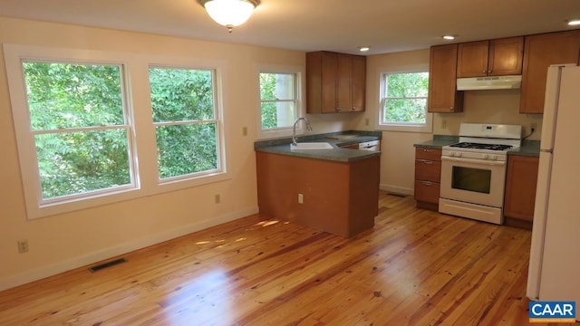 kitchen with white appliances, sink, and light wood-type flooring