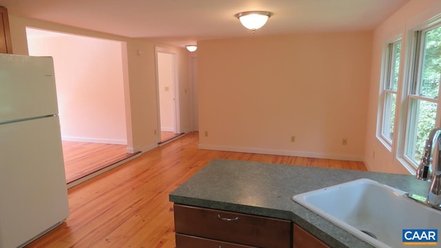 kitchen featuring sink, light hardwood / wood-style floors, and white refrigerator