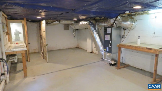 basement featuring electric panel