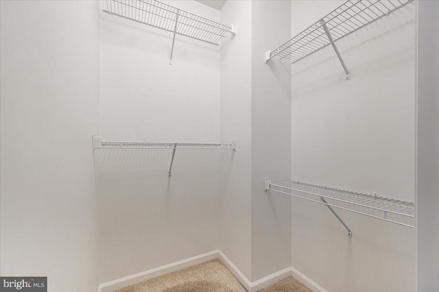 walk in closet featuring carpet