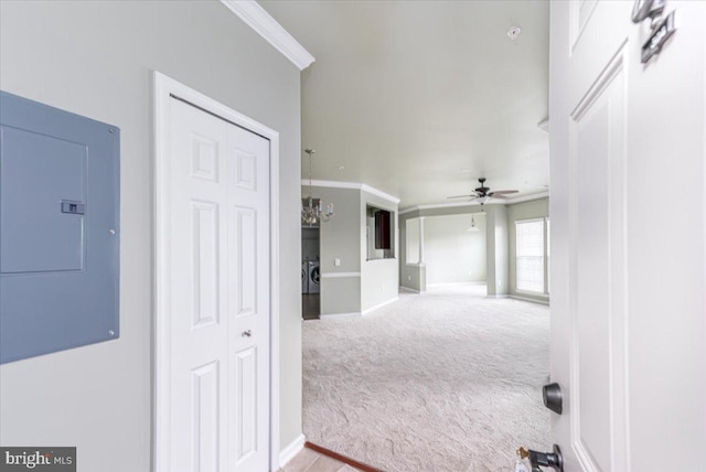 corridor with ornamental molding, electric panel, and carpet