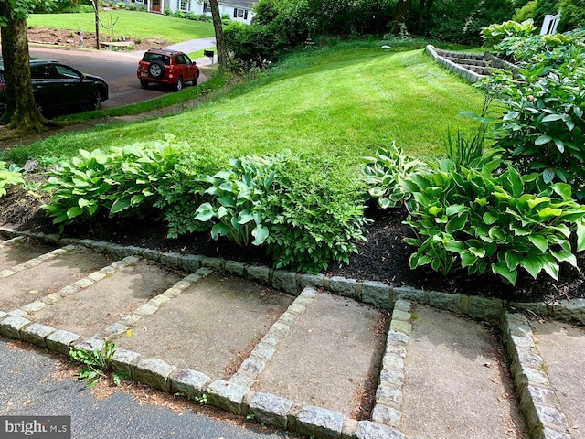 view of yard featuring a garden