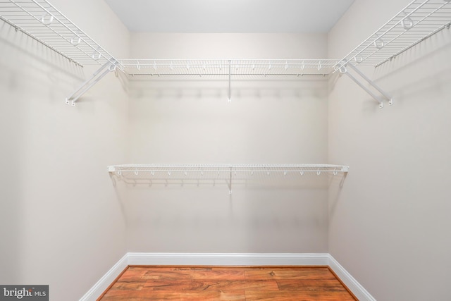 spacious closet featuring hardwood / wood-style flooring