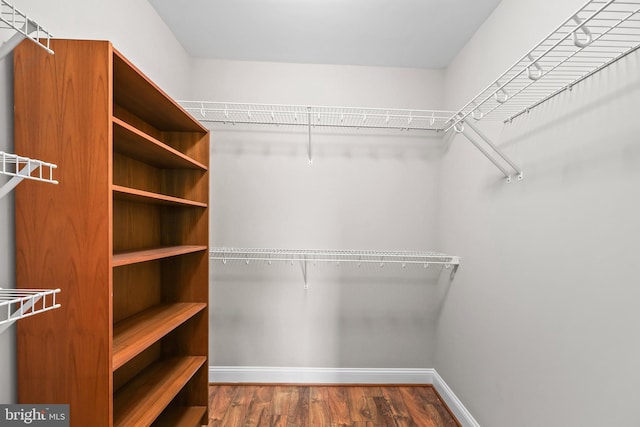 walk in closet with hardwood / wood-style flooring