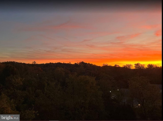 view of nature at dusk