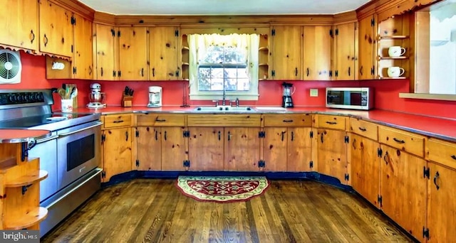 kitchen featuring dark wood-type flooring, stainless steel appliances, and sink