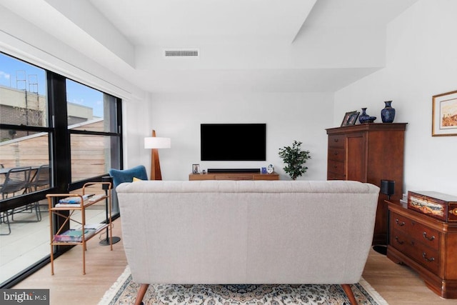 living room featuring light hardwood / wood-style floors