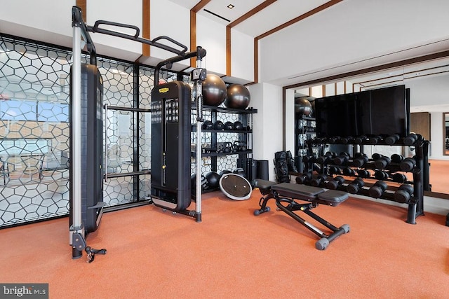 gym with a high ceiling and carpet