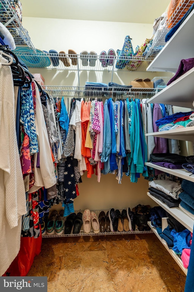 view of spacious closet