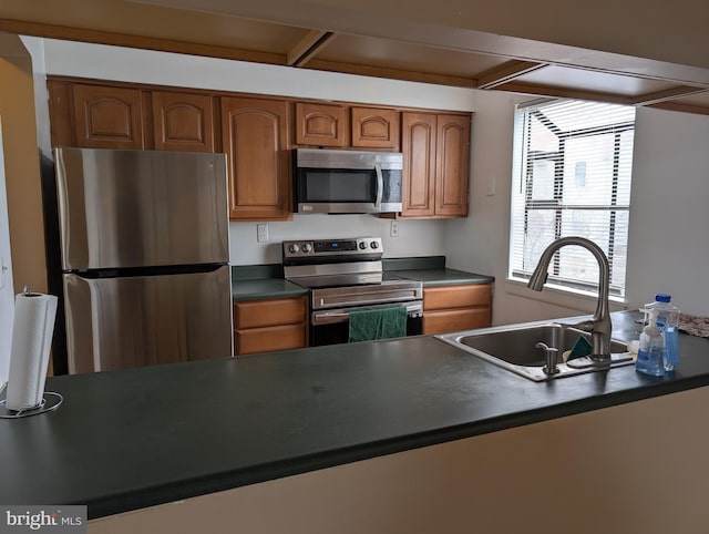 kitchen with stainless steel appliances and sink