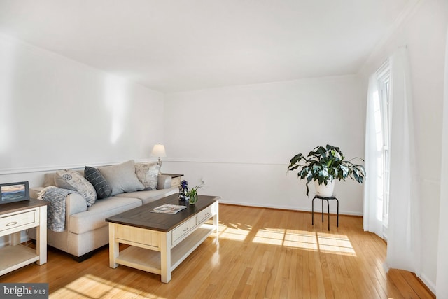 living room with hardwood / wood-style floors