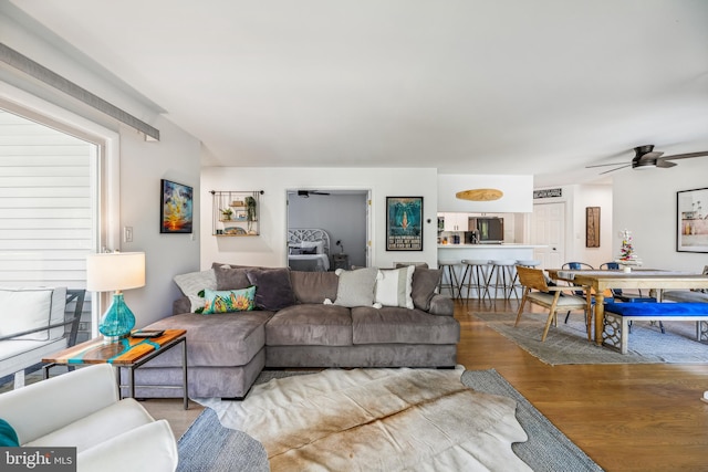 living room with ceiling fan and wood-type flooring