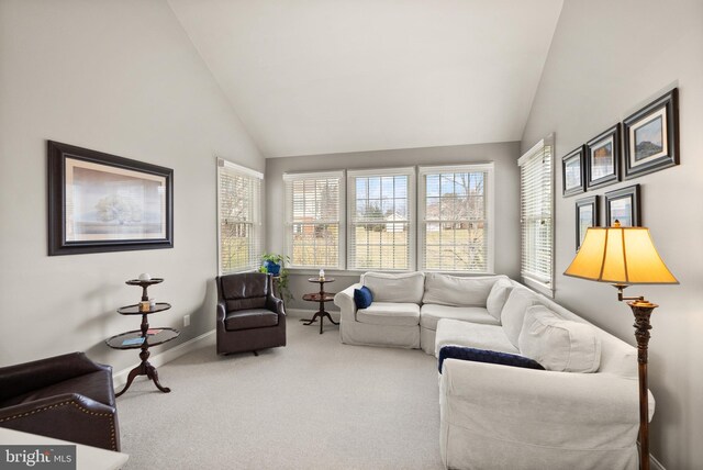 living room featuring lofted ceiling and carpet