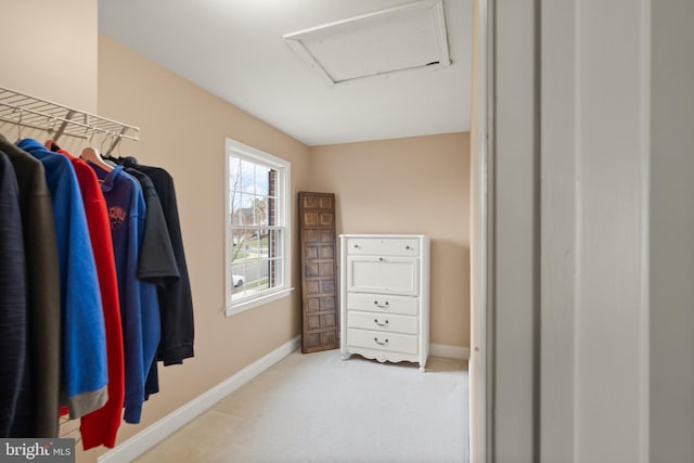 spacious closet featuring carpet floors