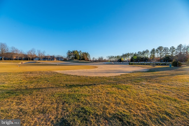 view of property's community featuring a yard