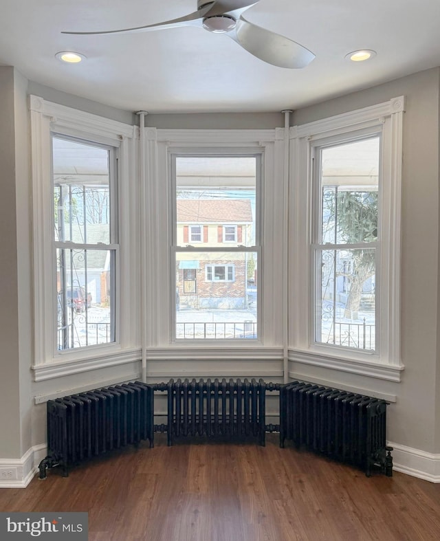 interior space featuring radiator heating unit and plenty of natural light