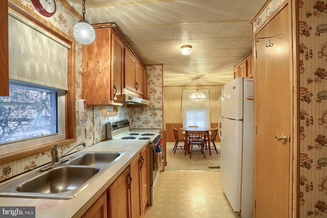 kitchen with pendant lighting, sink, and white appliances