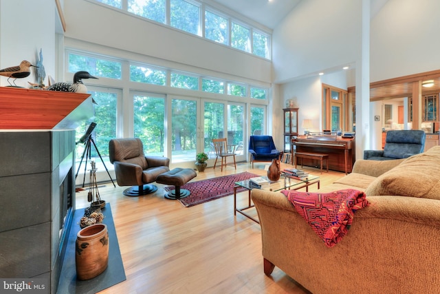 living room with wood-type flooring