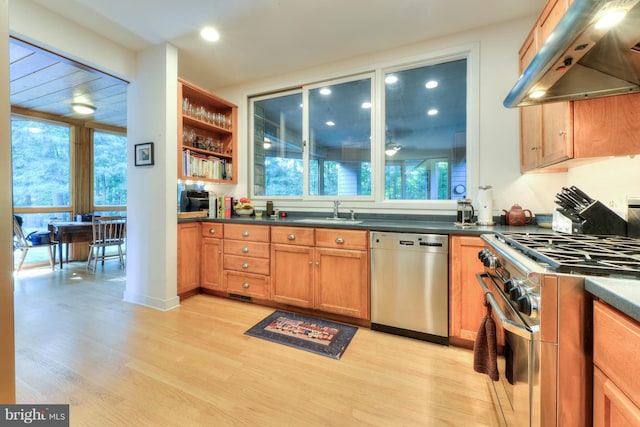 kitchen with appliances with stainless steel finishes, sink, light hardwood / wood-style flooring, and island range hood