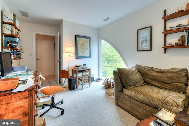 office area featuring light carpet