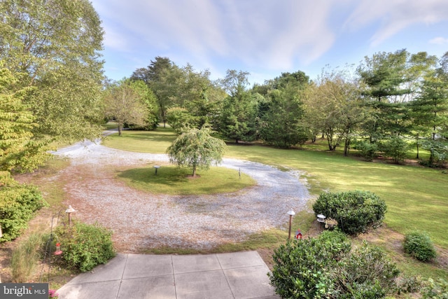 surrounding community featuring a lawn