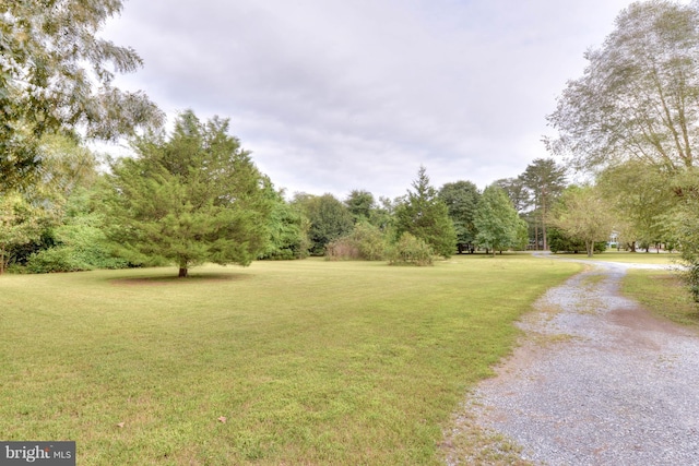 view of home's community with a yard