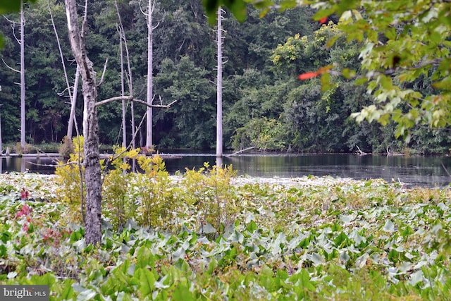 view of yard with a water view