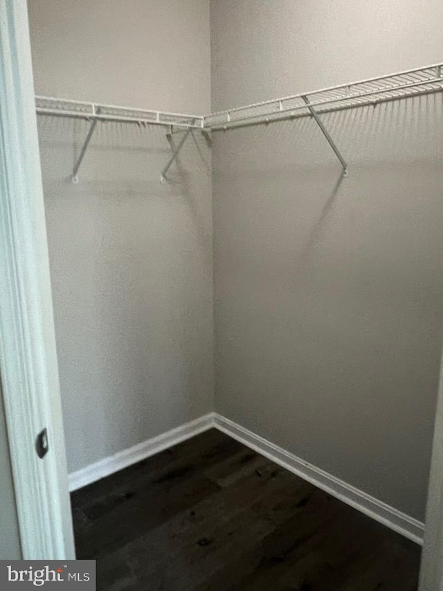 walk in closet featuring dark hardwood / wood-style flooring