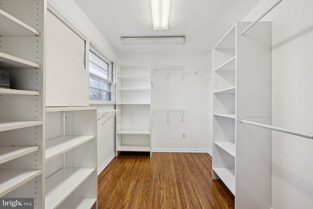 walk in closet with dark wood-type flooring