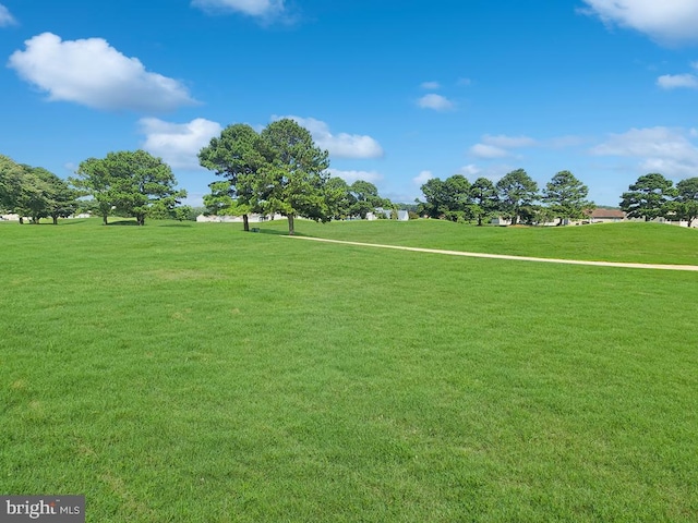 view of home's community featuring a lawn