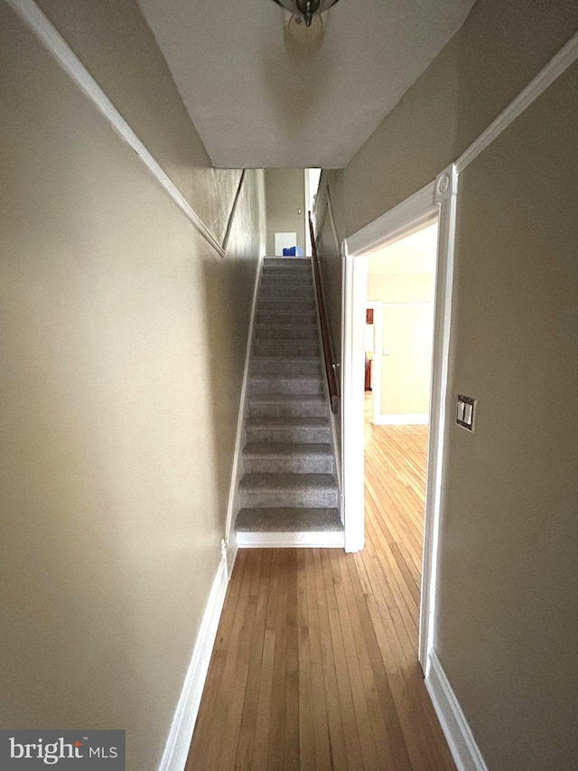 stairs featuring hardwood / wood-style flooring