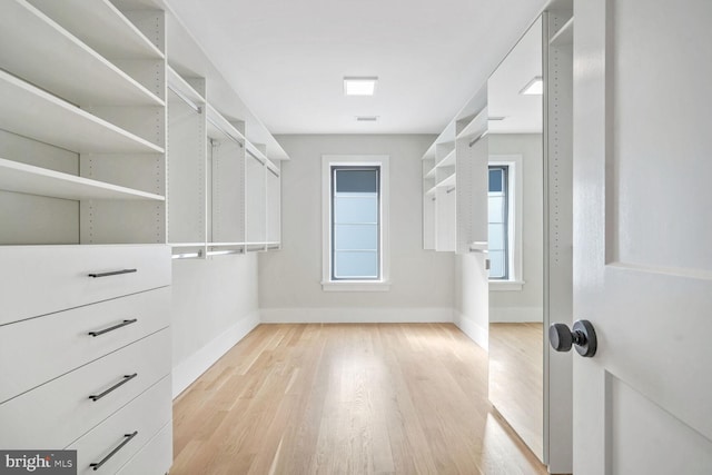 spacious closet with light wood-type flooring