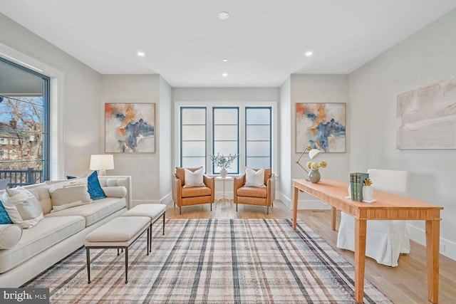 interior space featuring a healthy amount of sunlight and light hardwood / wood-style flooring