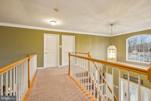 corridor featuring crown molding and carpet flooring