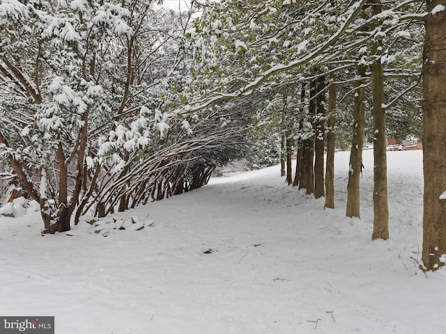 view of snowy landscape