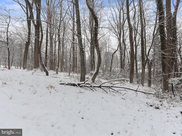 view of snow covered land