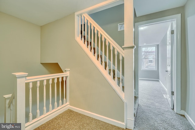 staircase featuring carpet floors