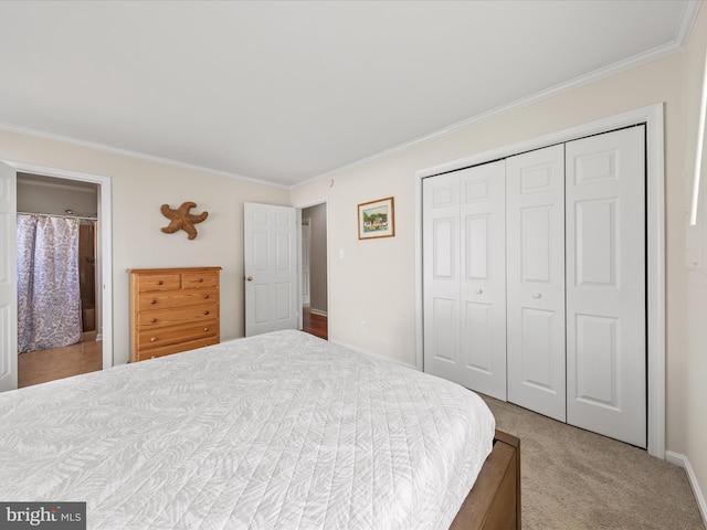 carpeted bedroom featuring crown molding and a closet