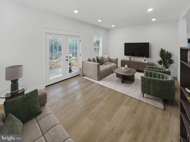 living room with light hardwood / wood-style flooring and french doors