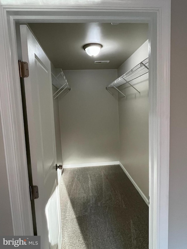 spacious closet featuring carpet