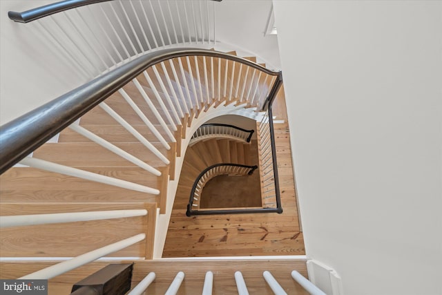 stairway featuring wood finished floors and wood walls