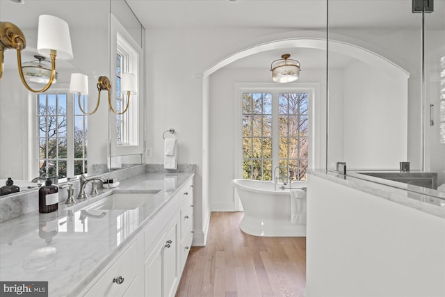 bathroom featuring a soaking tub, vanity, and wood finished floors