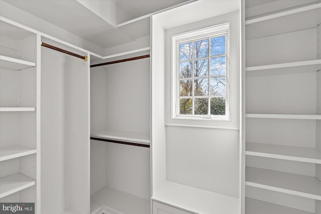 view of spacious closet