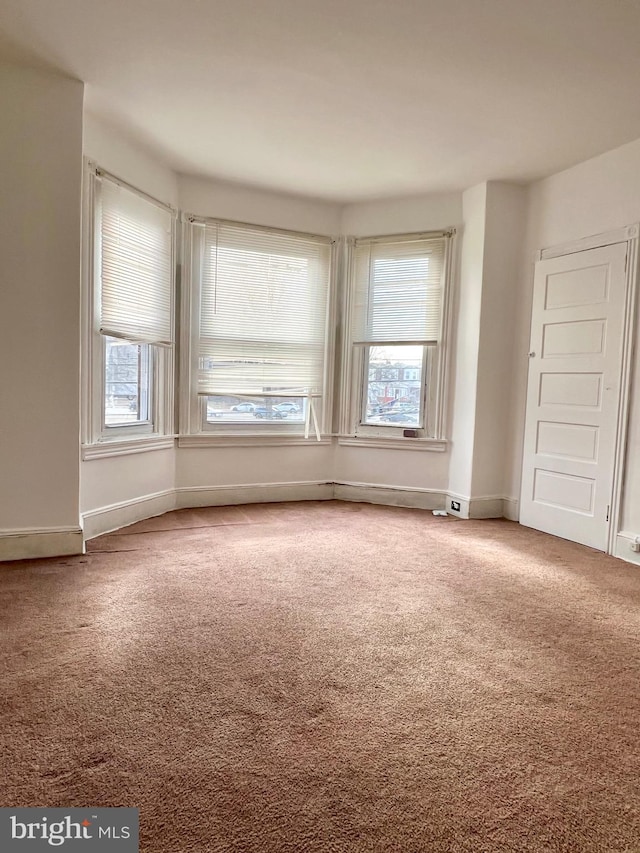 spare room with carpet floors